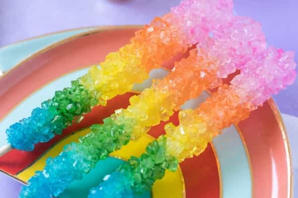 قیمت خرید عمده نبات شاخه ای رنگی